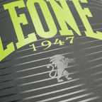 GUANTI BOXE LEONE WAVES