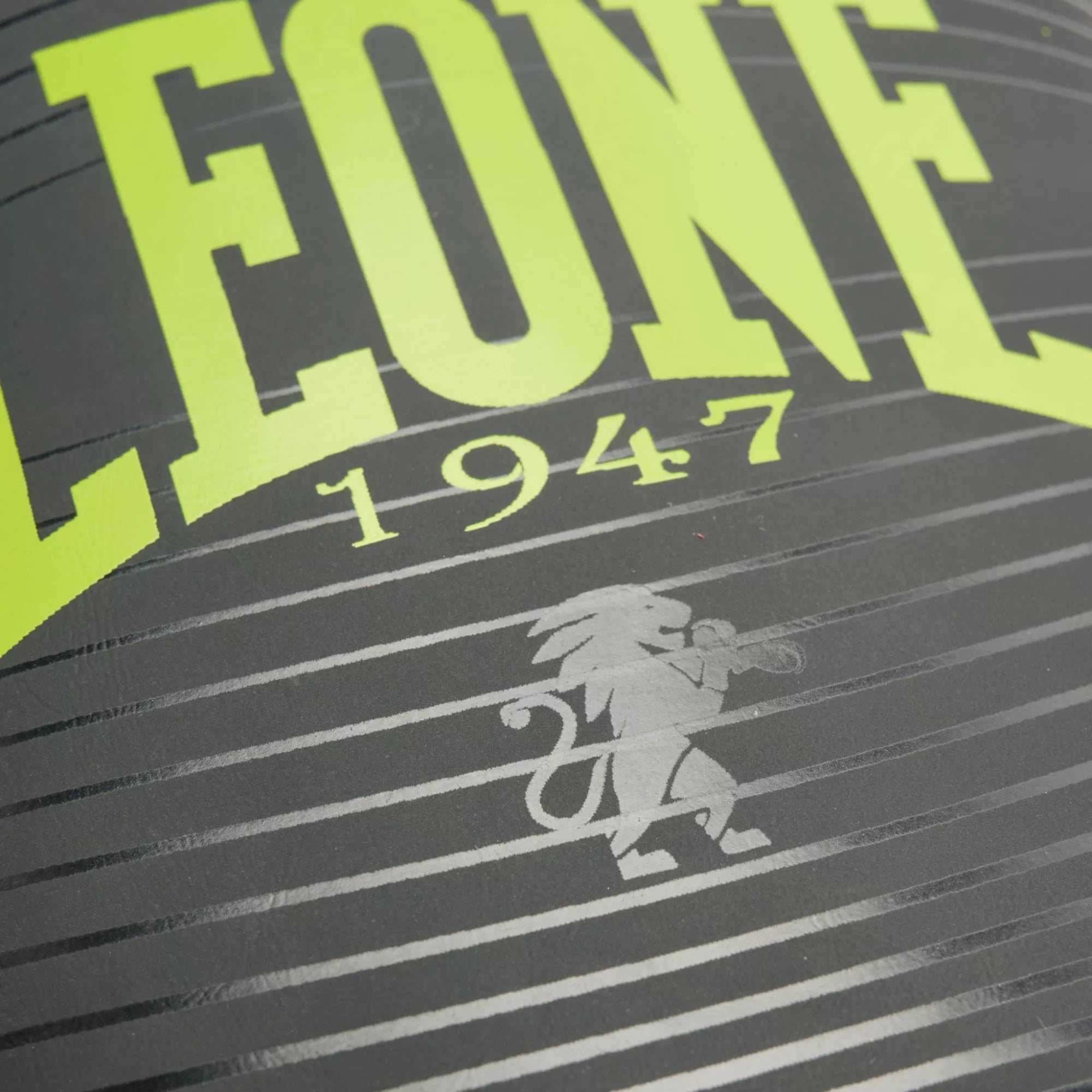 GUANTI BOXE LEONE WAVES