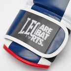 GUANTI BOXE COLOR BLOCK LEONE