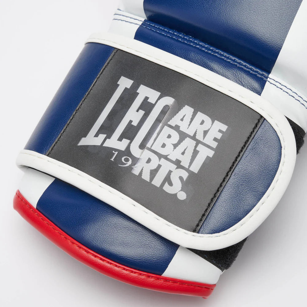 GUANTI BOXE COLOR BLOCK LEONE