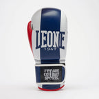 GUANTI BOXE COLOR BLOCK LEONE