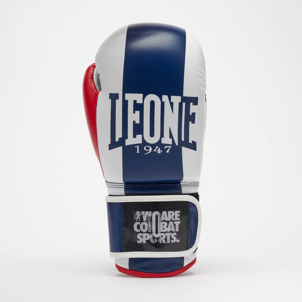 GUANTI BOXE COLOR BLOCK LEONE