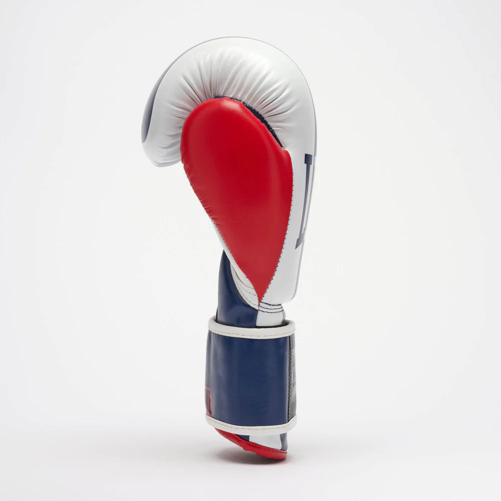 GUANTI BOXE COLOR BLOCK LEONE