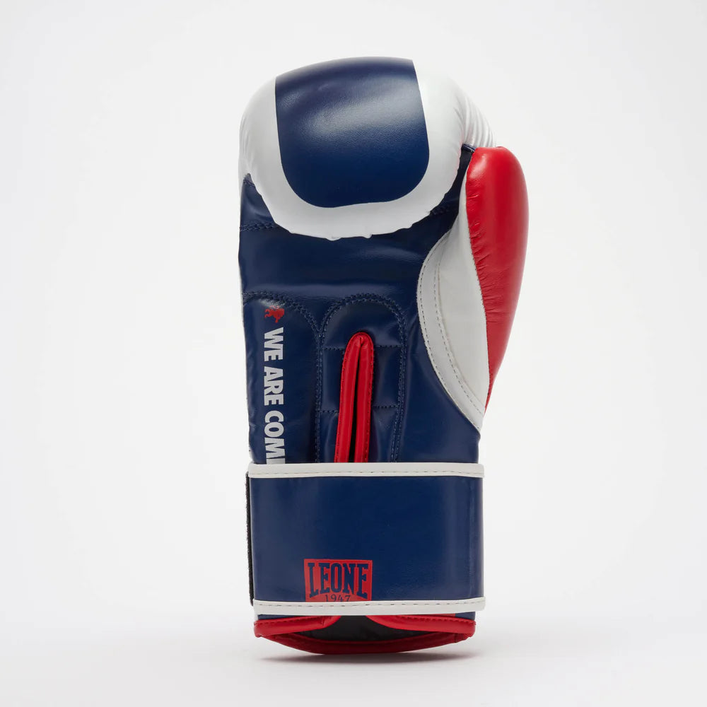 GUANTI BOXE COLOR BLOCK LEONE