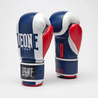 GUANTI BOXE COLOR BLOCK LEONE