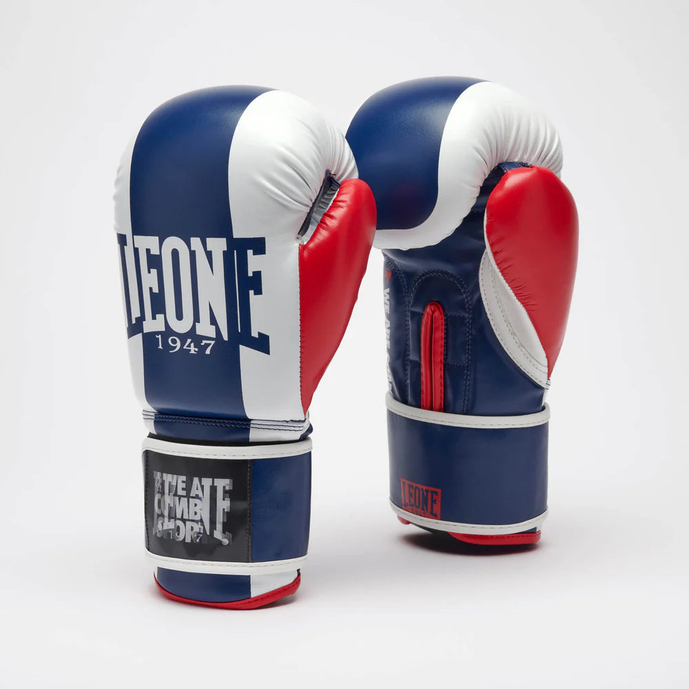 GUANTI BOXE COLOR BLOCK LEONE