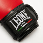GUANTI DA BOXE THUNDER LEONE