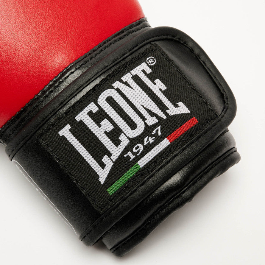 GUANTI DA BOXE THUNDER LEONE