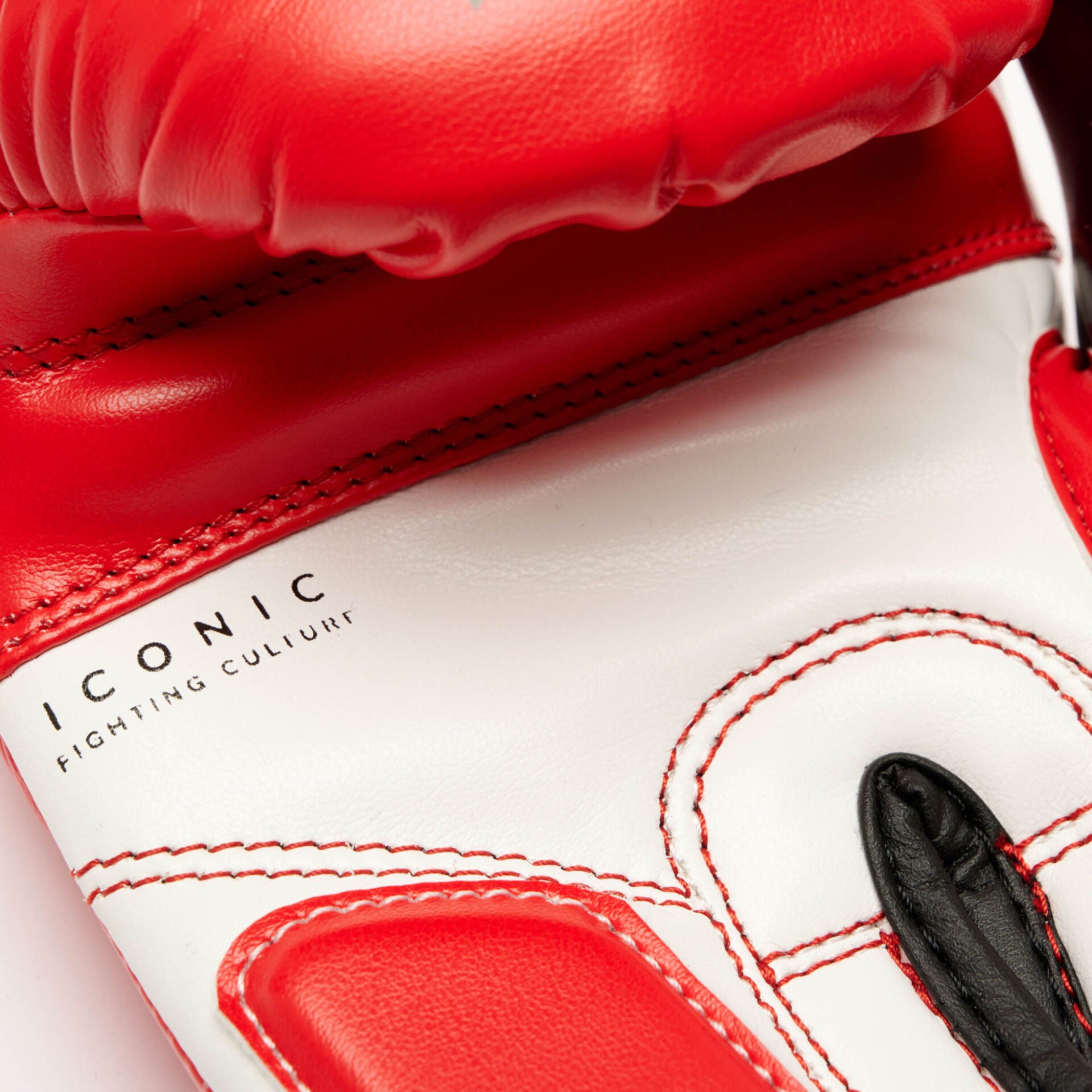 GUANTI BOXE ICONIC LEONE