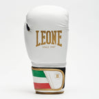 GUANTI BOXE ITALY ’47 LEONE
