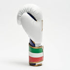 GUANTI BOXE ITALY ’47 LEONE