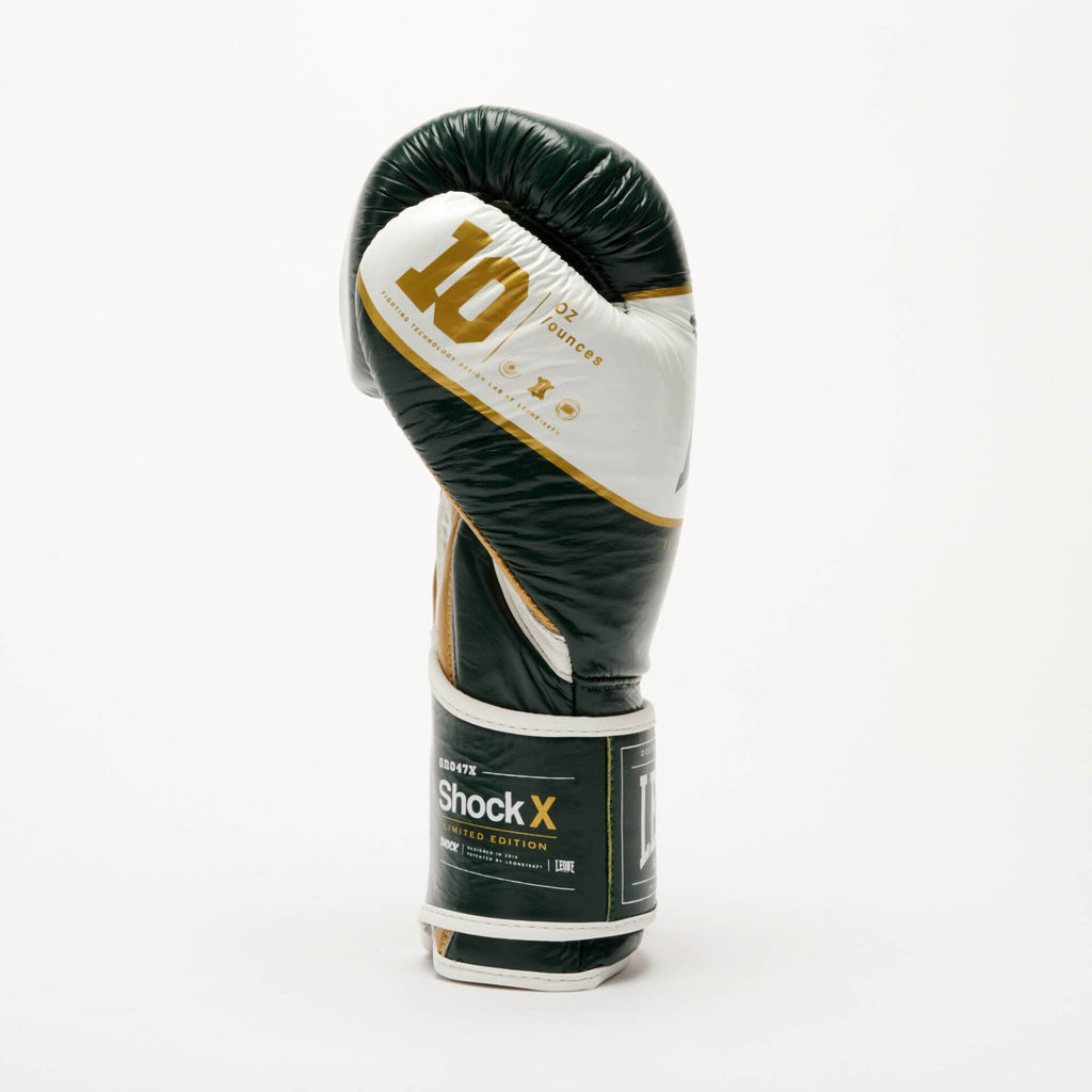 GUANTI BOXE SHOCK X LEONE