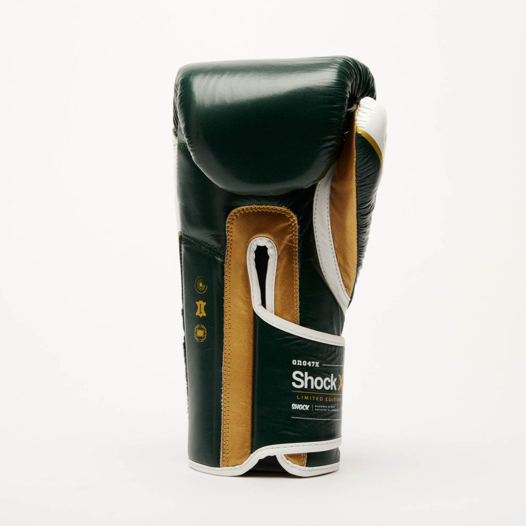 GUANTI BOXE SHOCK X LEONE