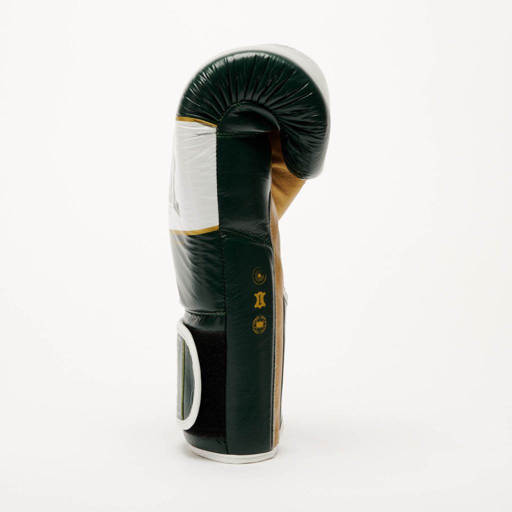 GUANTI BOXE SHOCK X LEONE