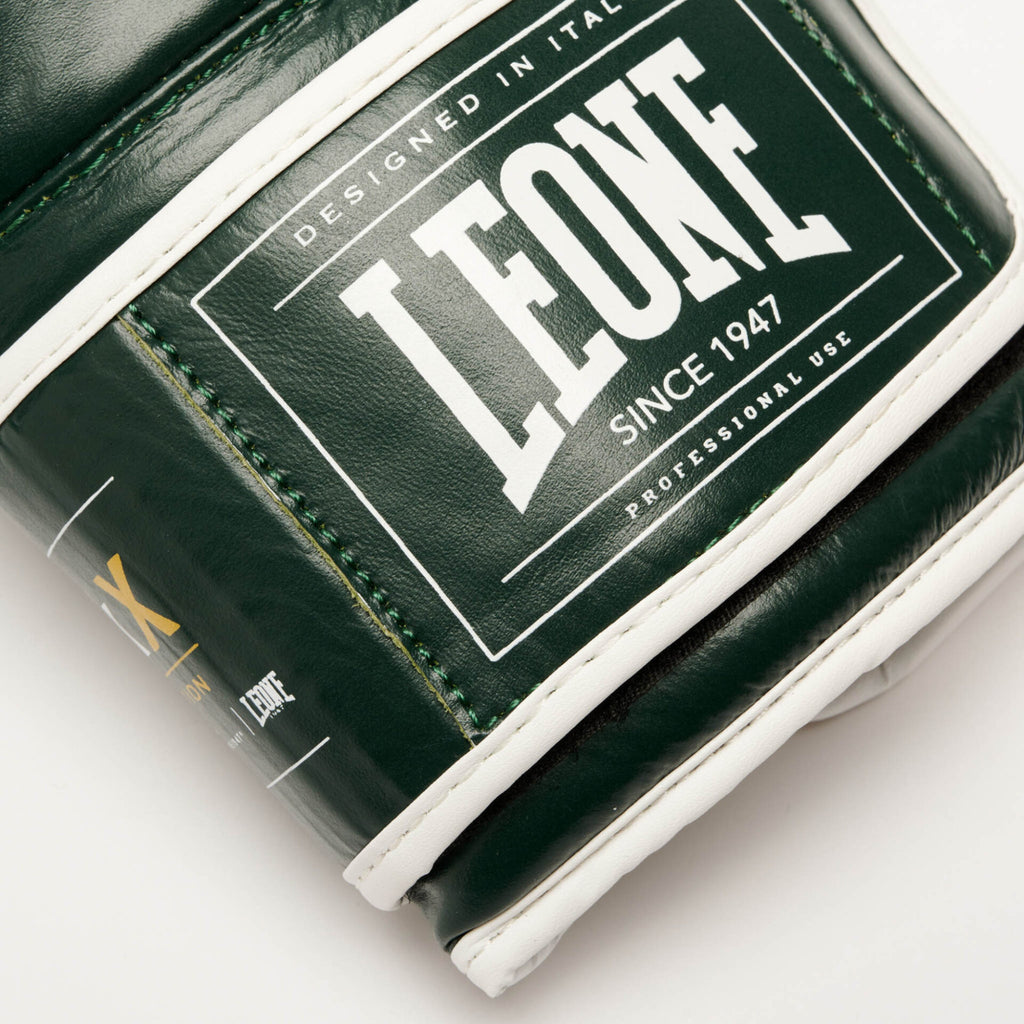 GUANTI BOXE SHOCK X LEONE