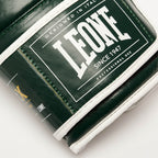 GUANTI BOXE SHOCK X LEONE