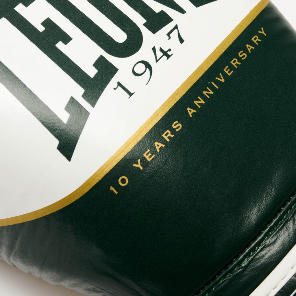 GUANTI BOXE SHOCK X LEONE