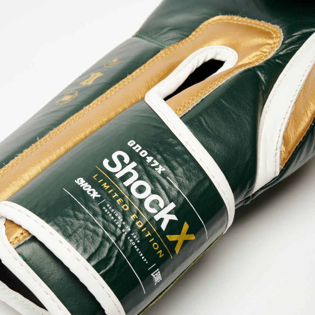 GUANTI BOXE SHOCK X LEONE