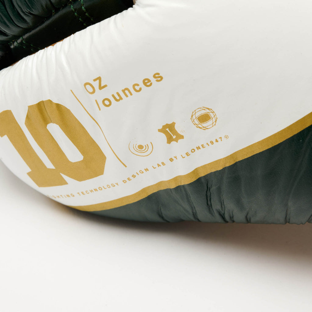 GUANTI BOXE SHOCK X LEONE
