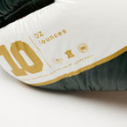GUANTI BOXE SHOCK X LEONE