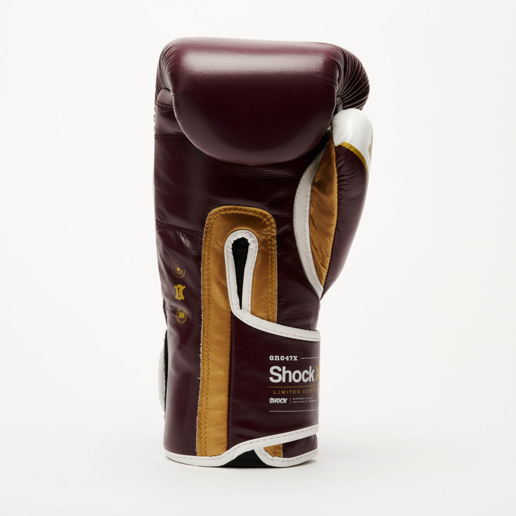 GUANTI BOXE SHOCK X LEONE