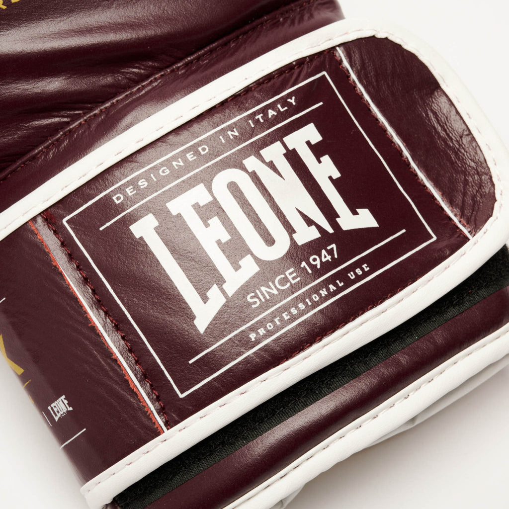 GUANTI BOXE SHOCK X LEONE