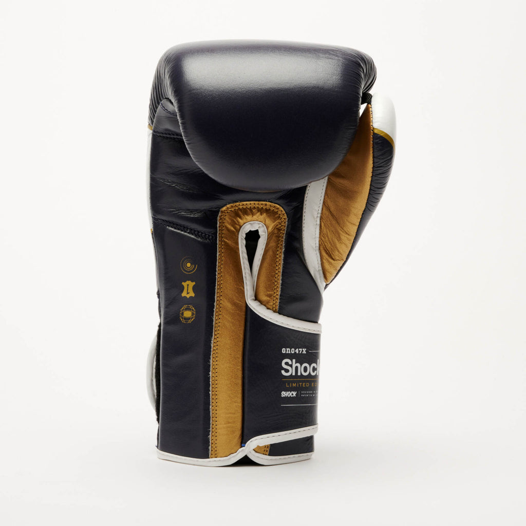GUANTI BOXE SHOCK X LEONE