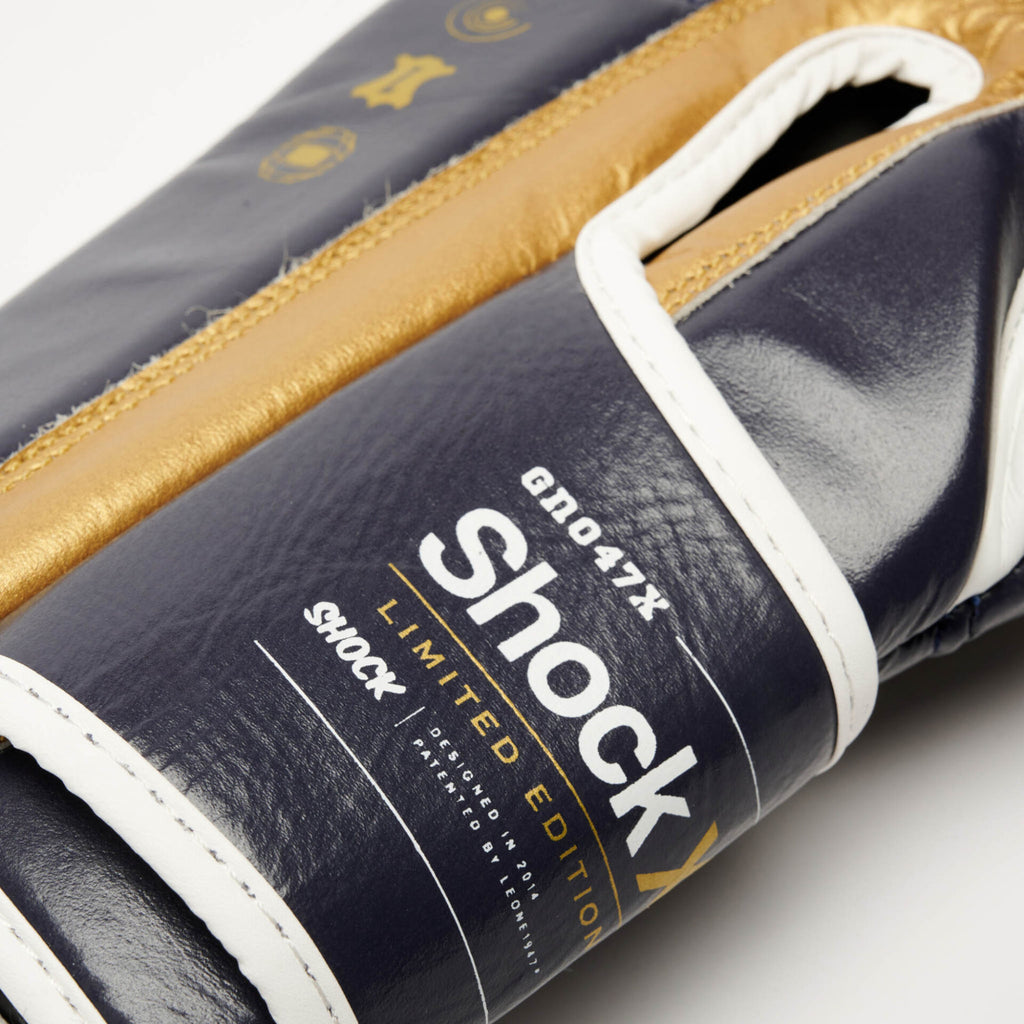 GUANTI BOXE SHOCK X LEONE