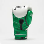 GUANTI BOXE REVO PERFORMANCE