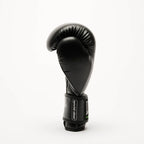 GUANTI BOXE THUNDER LEONE