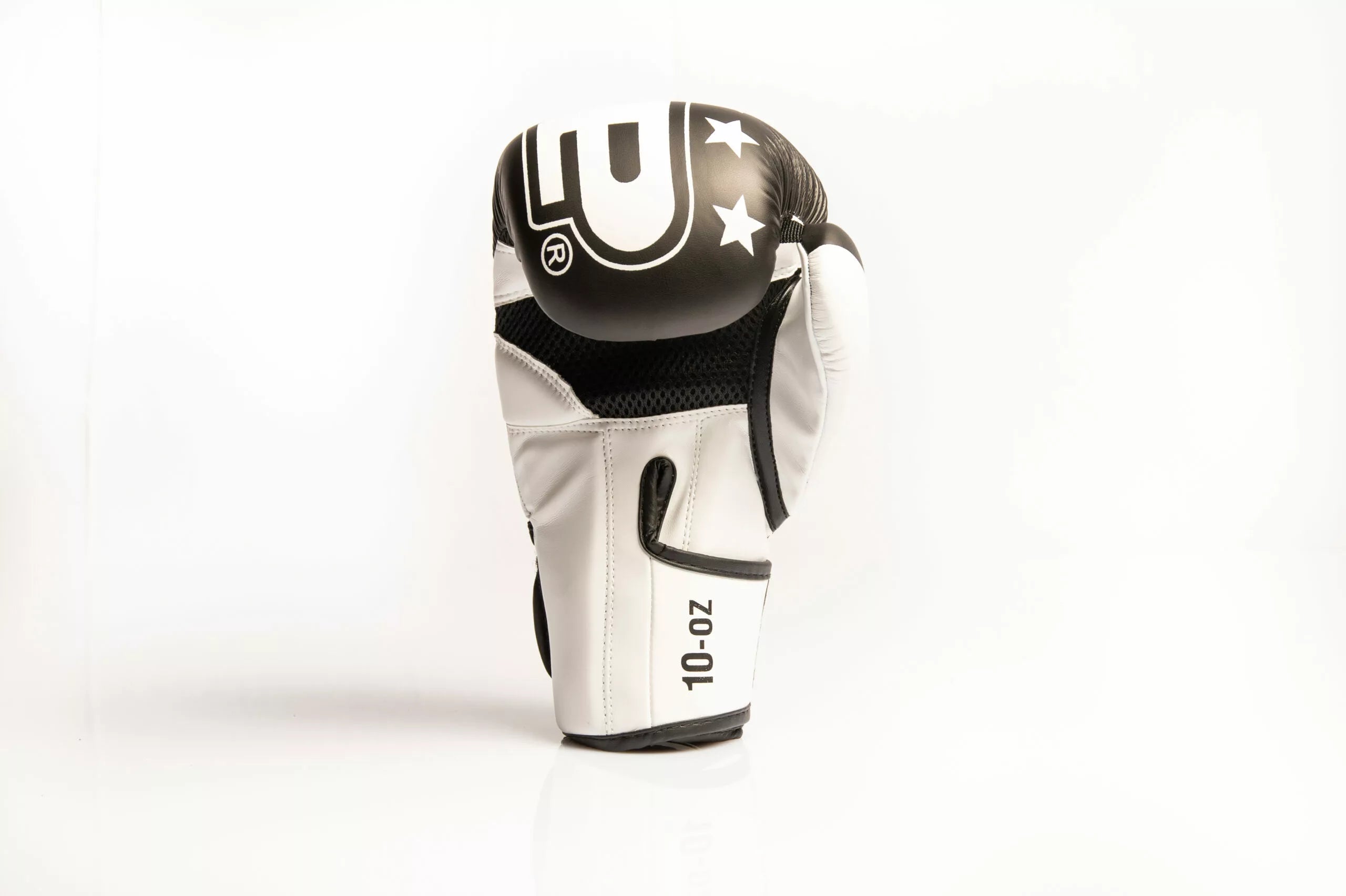 GUANTONI DA BOXE SAP MOD. REX - 10oz
