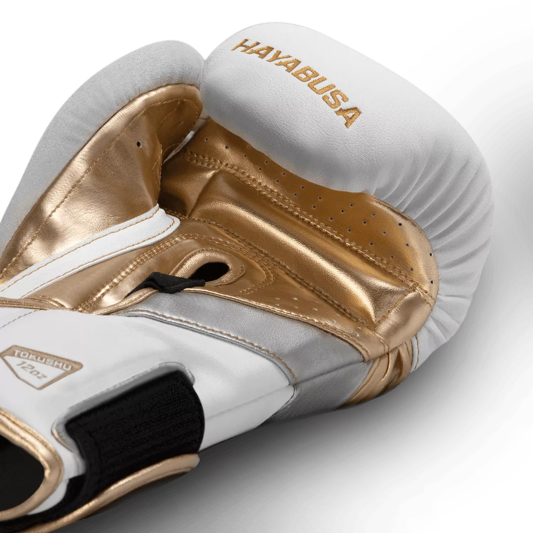 GUANTONE DA BOXE 10 oz HAYABUSA MOD. T3