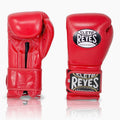 GUANTONI CLETO REYES SPARRING
