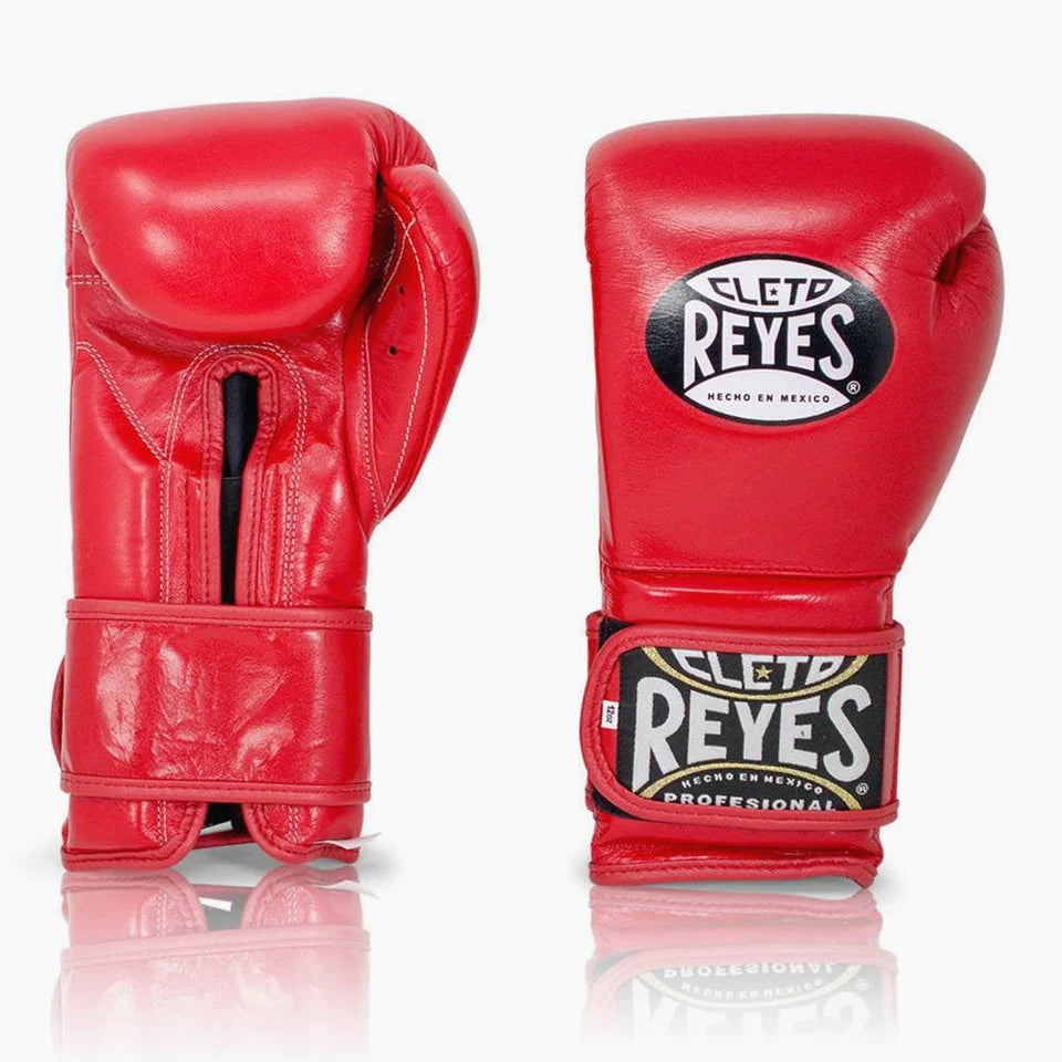 GUANTONI CLETO REYES SPARRING