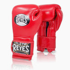 GUANTONI CLETO REYES SPARRING