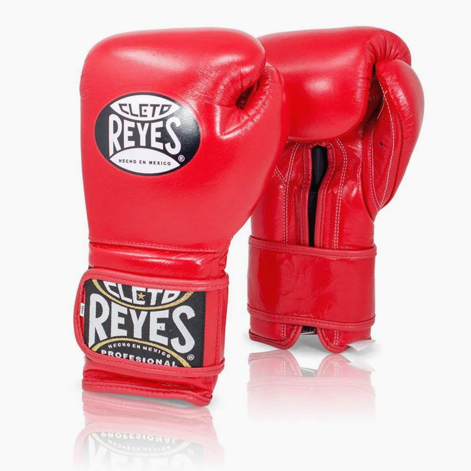 GUANTONI CLETO REYES SPARRING