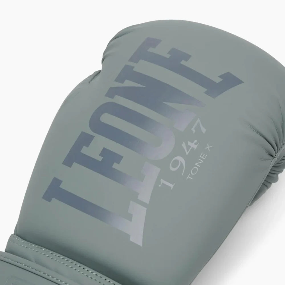 GUANTI DA BOXE TONE X LEONE