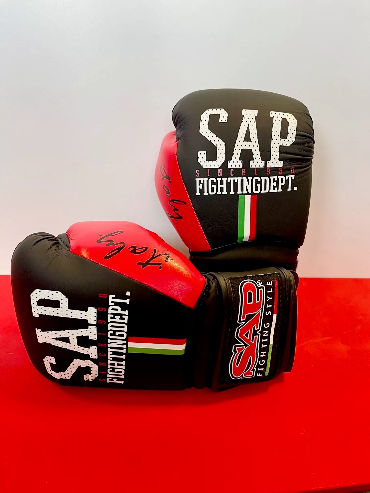 GUANTONE DA BOXE SAP 10oz