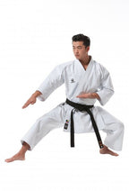 KARATEGI TOKAIDO KATA MASTER - KARATE