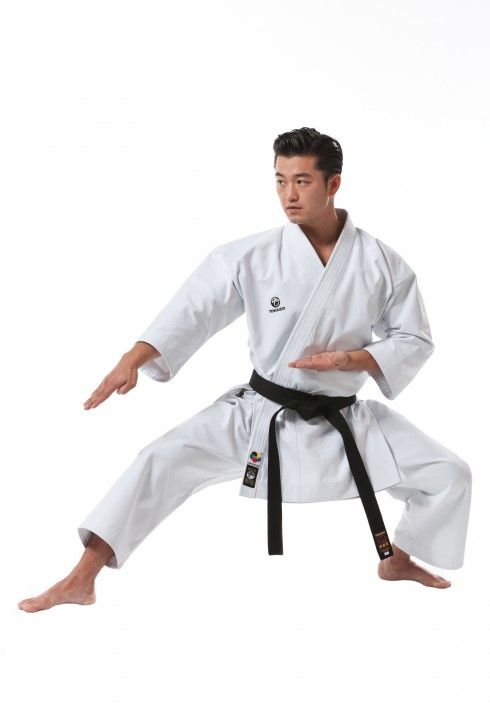 KARATEGI TOKAIDO KATA MASTER - KARATE