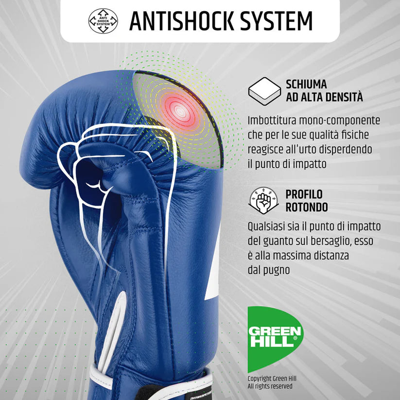 GUANTONI DA BOXE GREEN HILL MOD. LION