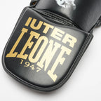 PARATIBIA LEONE X IUTER LEONE