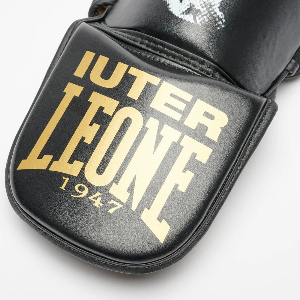 PARATIBIA LEONE X IUTER LEONE