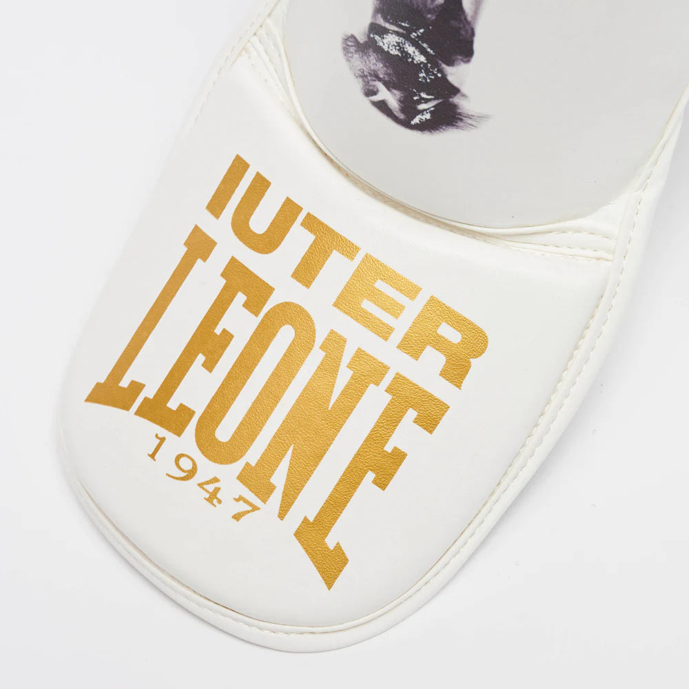 PARATIBIA LEONE X IUTER LEONE