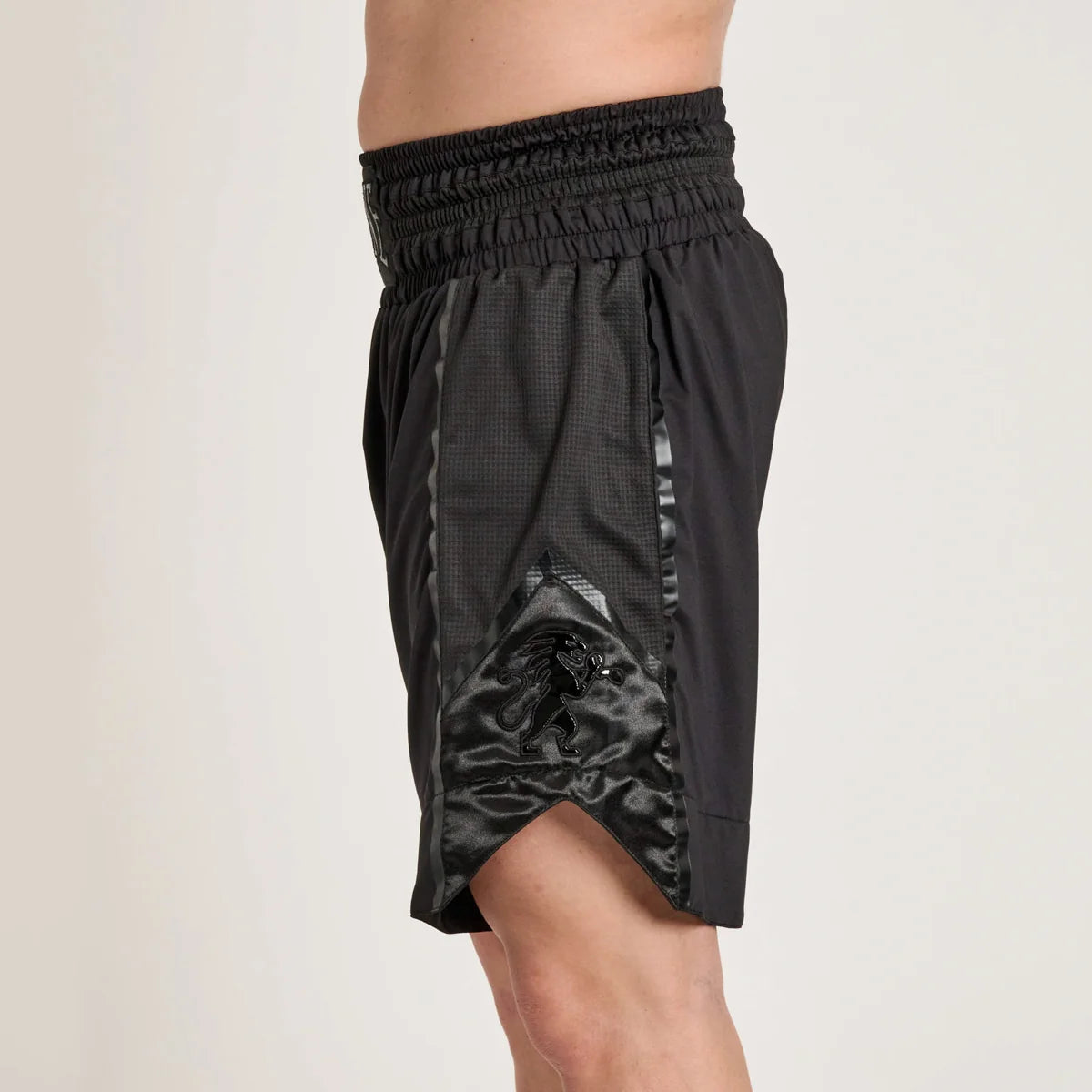 PANTALONCINI BOXE LEONE BLACK LION