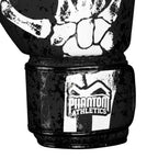 GUANTONI DA BOXE APEX - RAGGI X