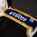 PARASTINCHI  Muay Thai -  PHANTOM