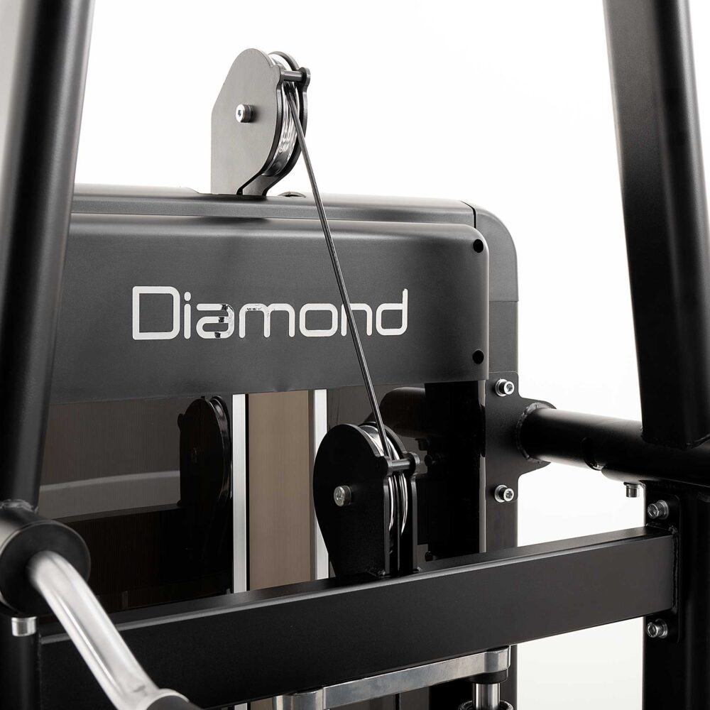 S550 CHIN UP/DIP DIAMOND