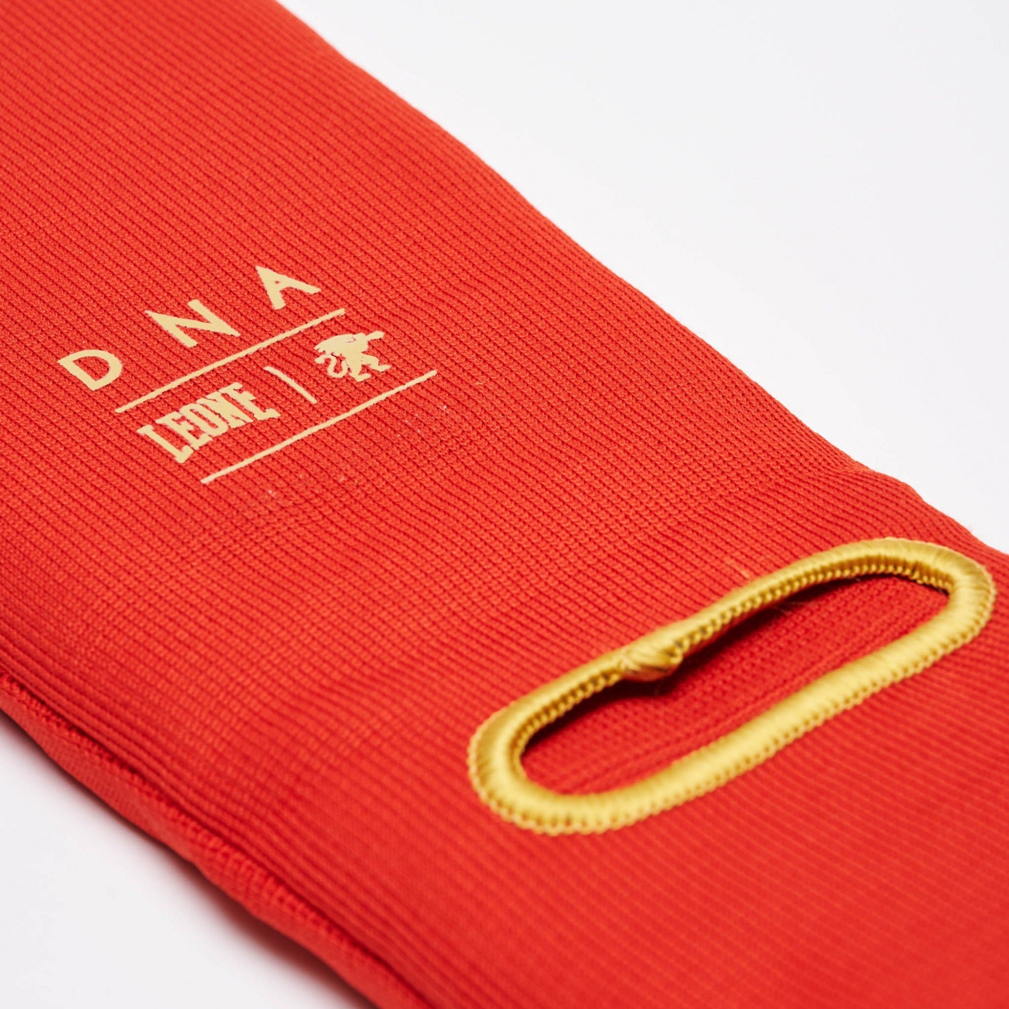 PARATIBIA DNA LEONE