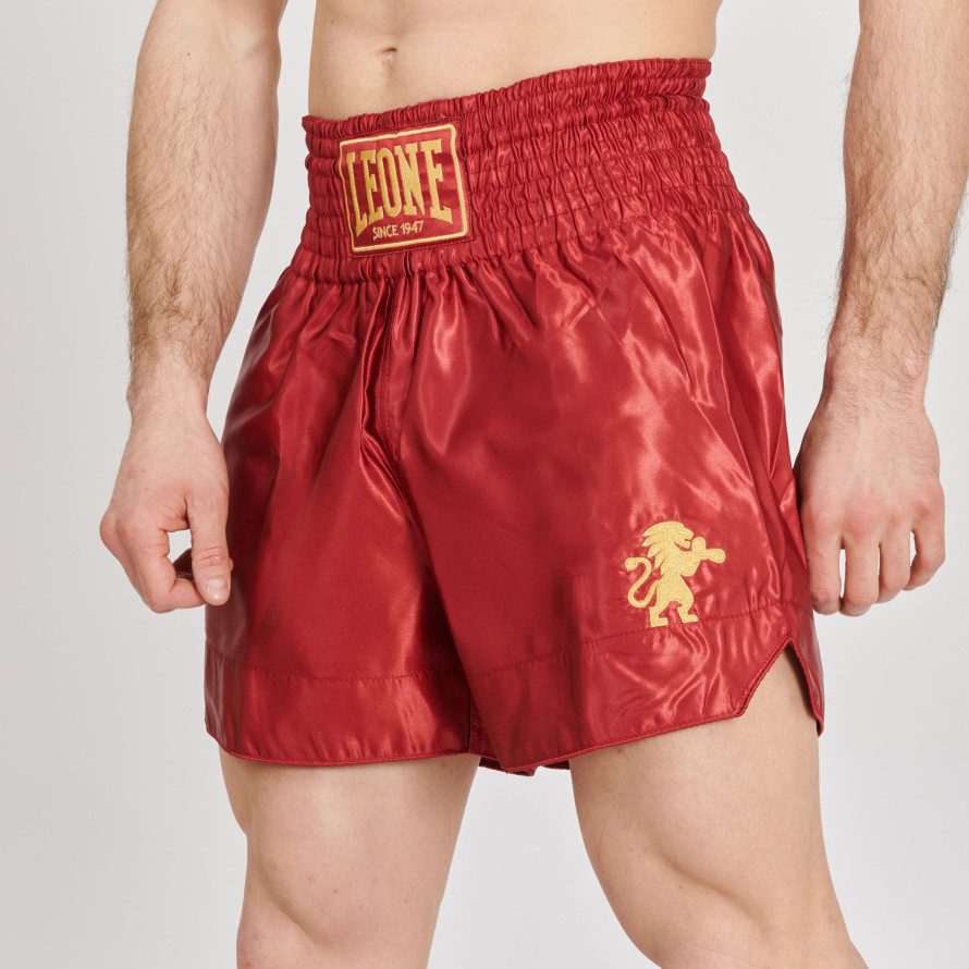 PANTA KICK BASIC 2 LEONE